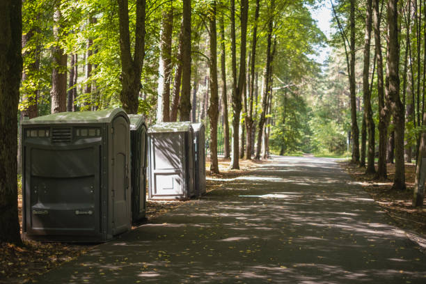 Best Standard Portable Toilet Rental  in Fisher, IL